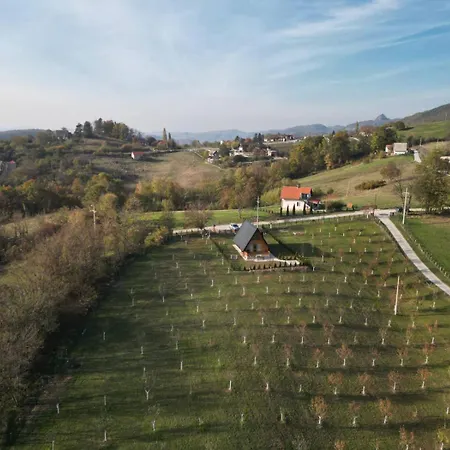 Brvnara Kao Na Dlanu *