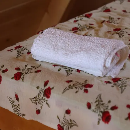 Brvnara Kao Na Dlanu Dağ evi *