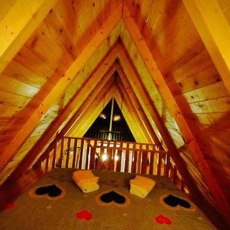 Brvnara Kao Na Dlanu 木屋 *