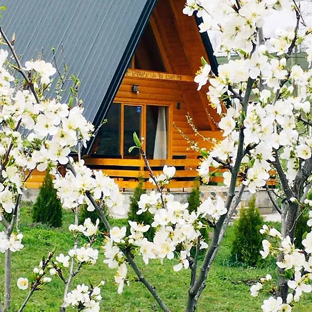 木屋 Brvnara Kao Na Dlanu 鲁德尼克